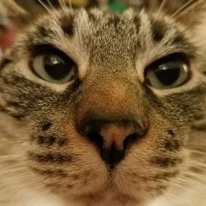 Meet your Posher, Lupita